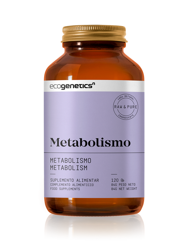 metabolismo